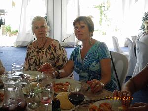 3 dalias 2 (21)